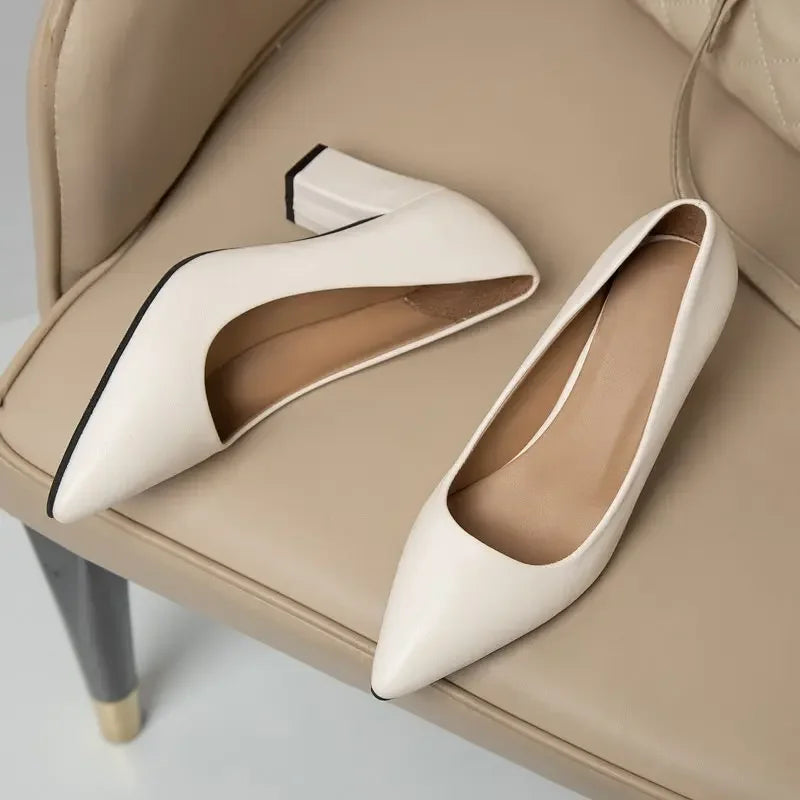 Sapatos Femininos