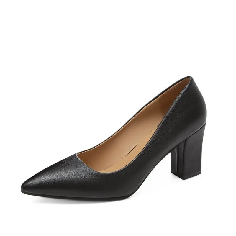 Sapatos Femininos