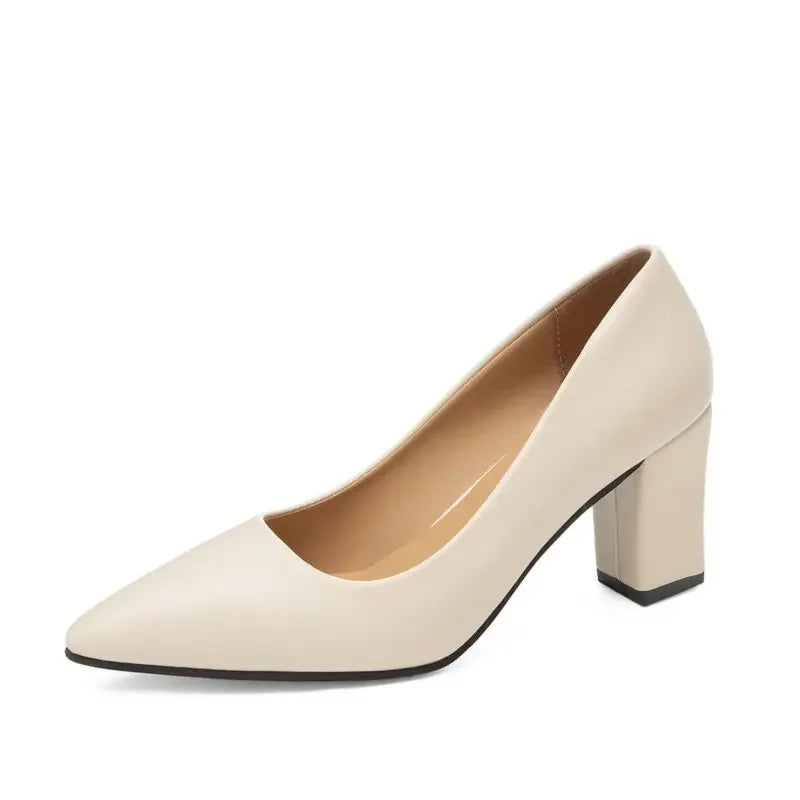 Sapatos Femininos